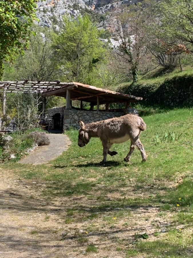 Mymoustiers Villa ภายนอก รูปภาพ